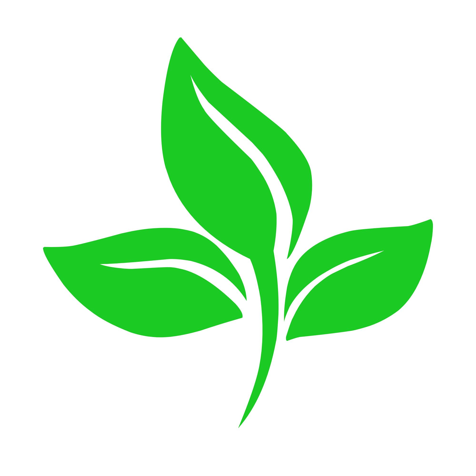green-leaf-for-opt-out-icon.jpg