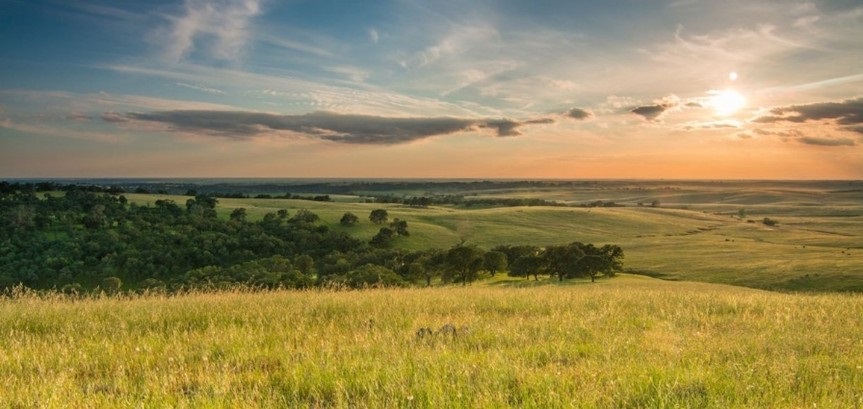 El Dorado County Ag Land Sunset.jpg