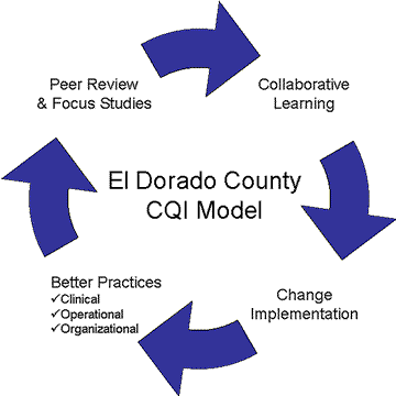 Continuous Quality Improvement Model