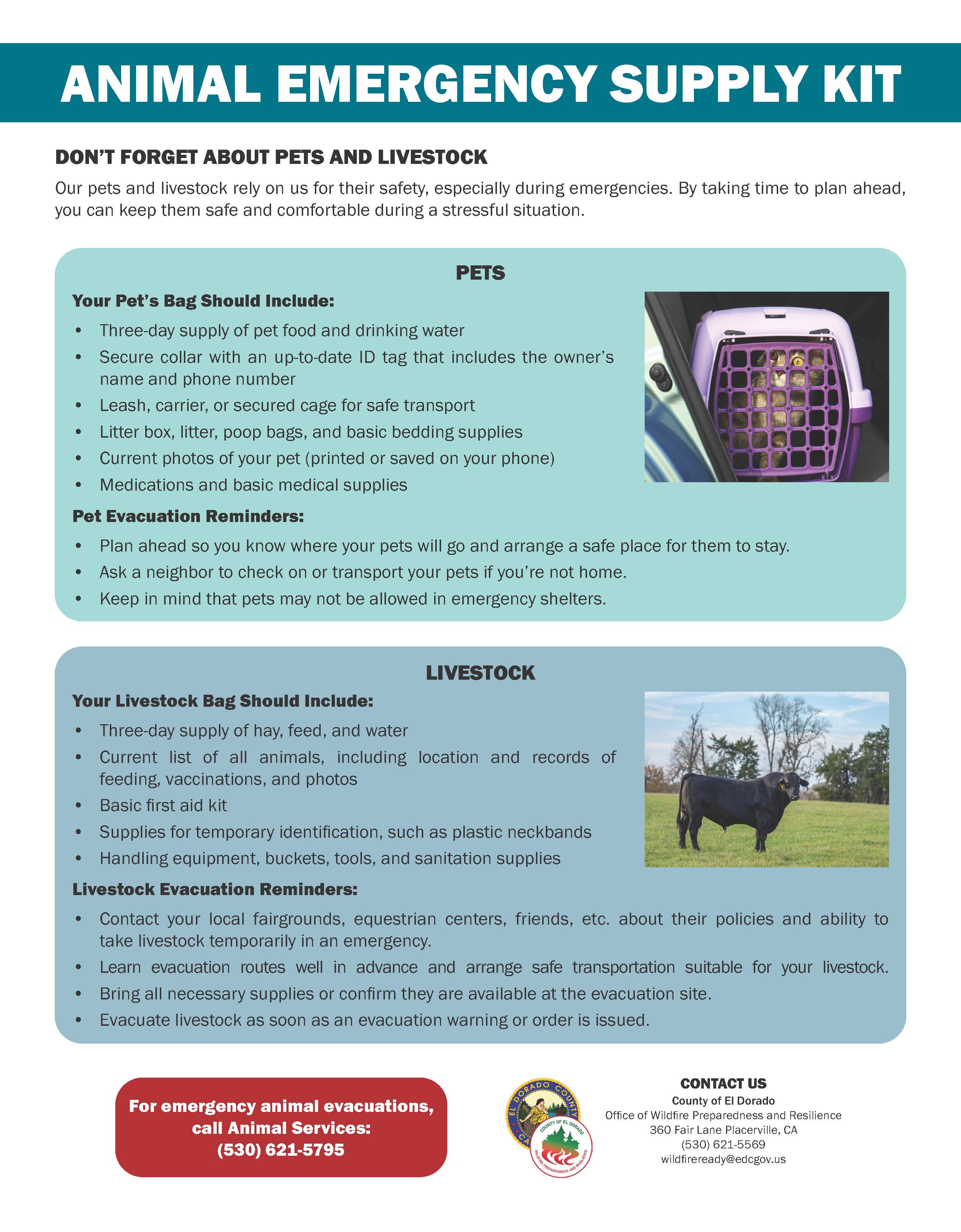 List of animal emergency supply kits