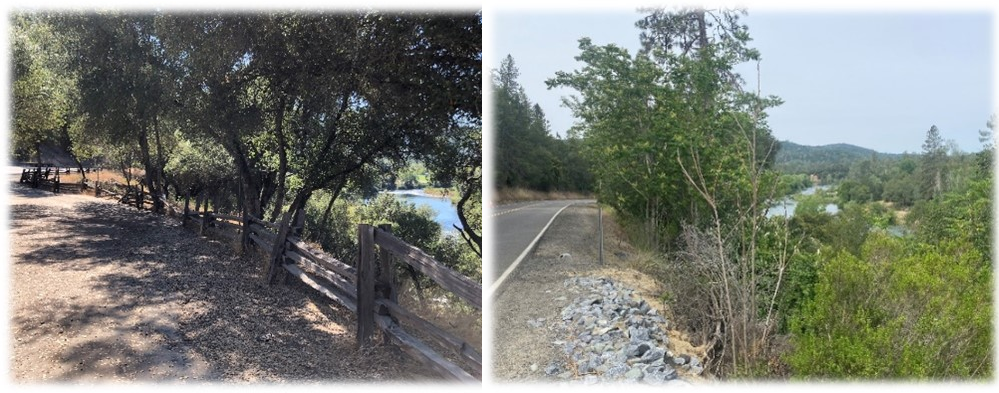 Lotus Road Trail